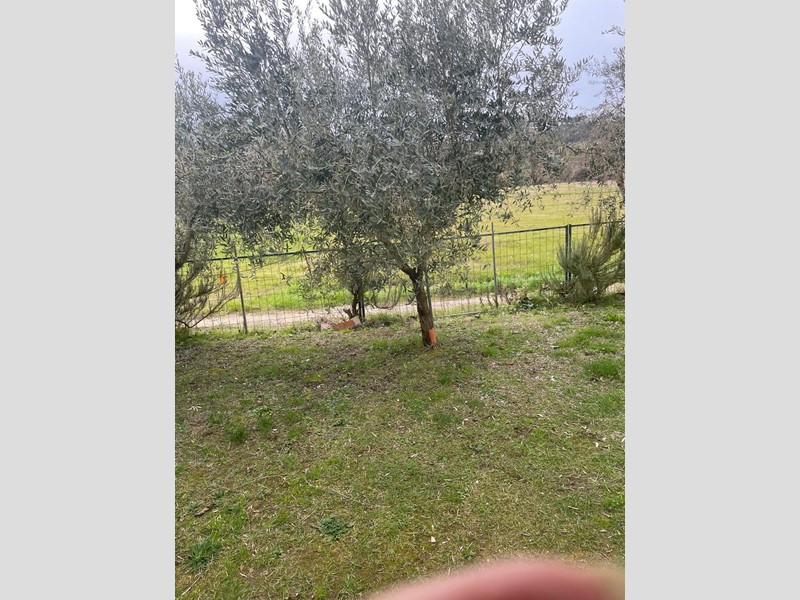 Villa in Vendita a Terricciola, 235'000€, 141 m², arredato