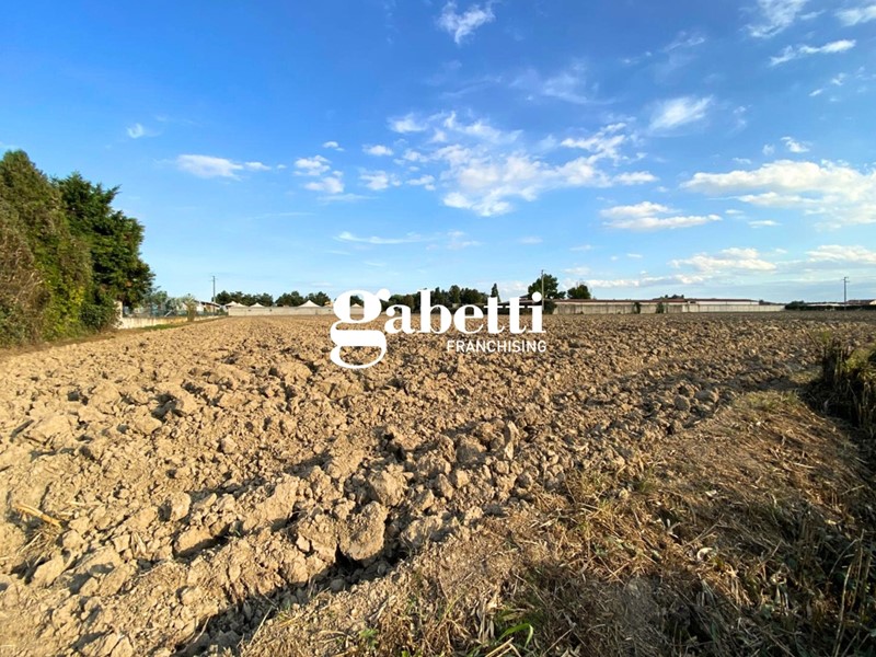 Terreno agricolo in Vendita a San Pietro Viminario, 110'000€, 20402 m²
