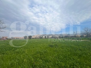 Terreno edificabile in Vendita a Vitulazio, 335'000€, 5400 m²