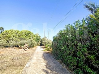 Villa in Vendita a Paceco, 295'000€, 400 m²