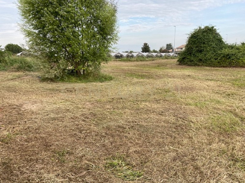 Terreno edificabile in Vendita a Oppeano, 721 m²