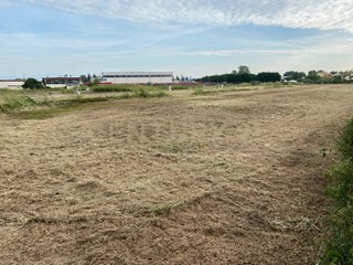 Terreno edificabile in Vendita a Oppeano, 810 m²