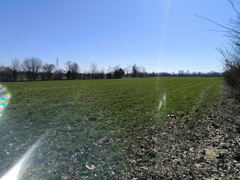 Terreno agricolo in Vendita a Montecchio Precalcino, 45'000€, 7710 m²