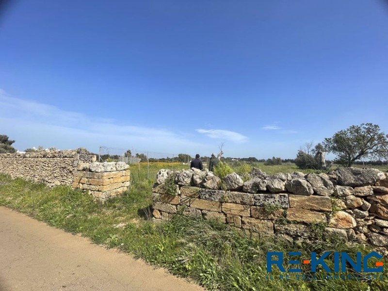 Terreno edificabile in Vendita a Galatone, 10'000€, 5300 m²