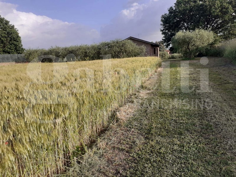 Terreno edificabile in Vendita a Fabrica di Roma, 49'000€, 1500 m²