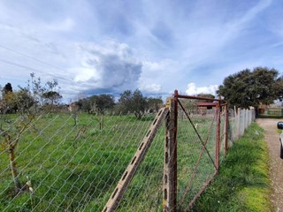 Terreno agricolo in Vendita a Grosseto, zona Rugginosa - Poggetti Vecchi, 35'000€, 1000 m²