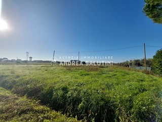Terreno agricolo in Vendita a Castelfranco di Sotto, 26'000€, 7200 m²