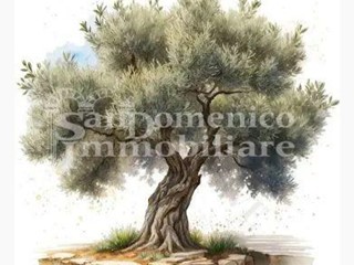 Terreno agricolo in Vendita a Calci, 10'000€, 1300 m²