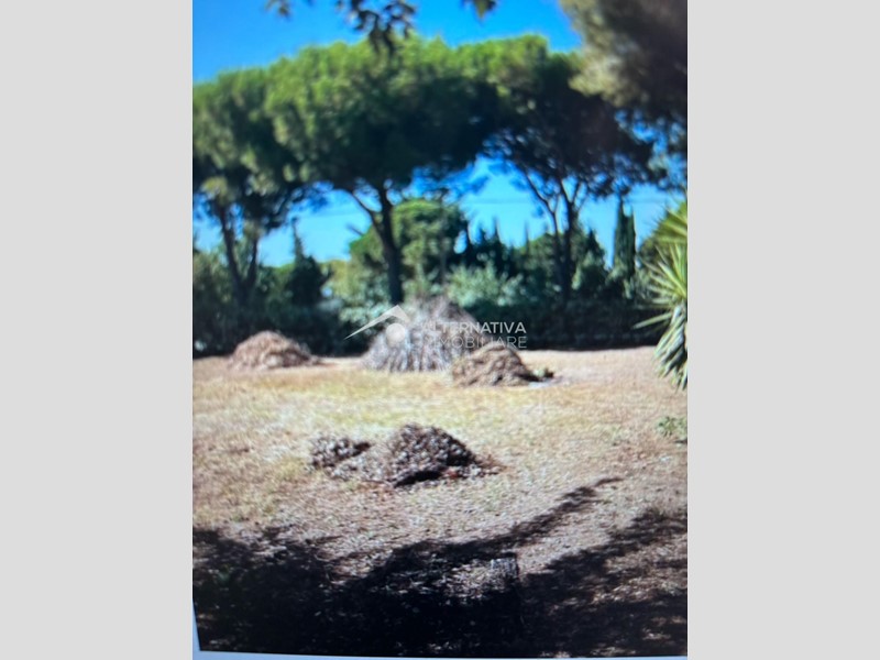 Terreno agricolo in Vendita a Piombino, zona Baratti, 78'000&euro;, 2400 m²
