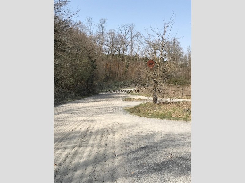 Terreno agricolo in Vendita a Fucecchio, 380'000€, 60000 m²