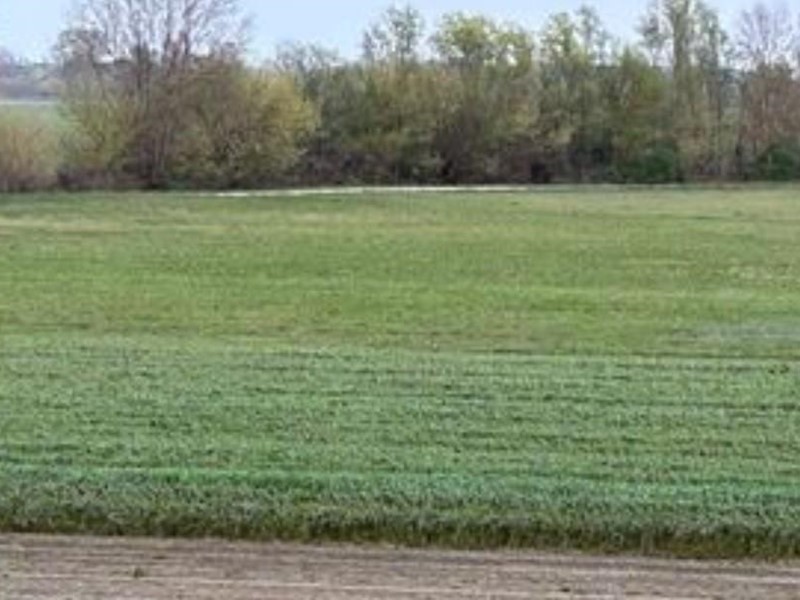 Terreno agricolo in Vendita a Massa, zona Turano, 80'000€, 1850 m²