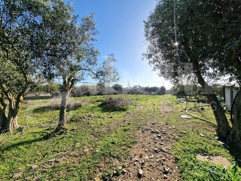 Terreno agricolo in Vendita a Sestu, 79'000€, 16000 m²