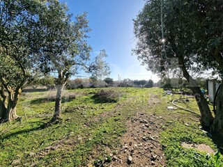 Terreno agricolo in Vendita a Sestu, 79'000€, 16000 m²
