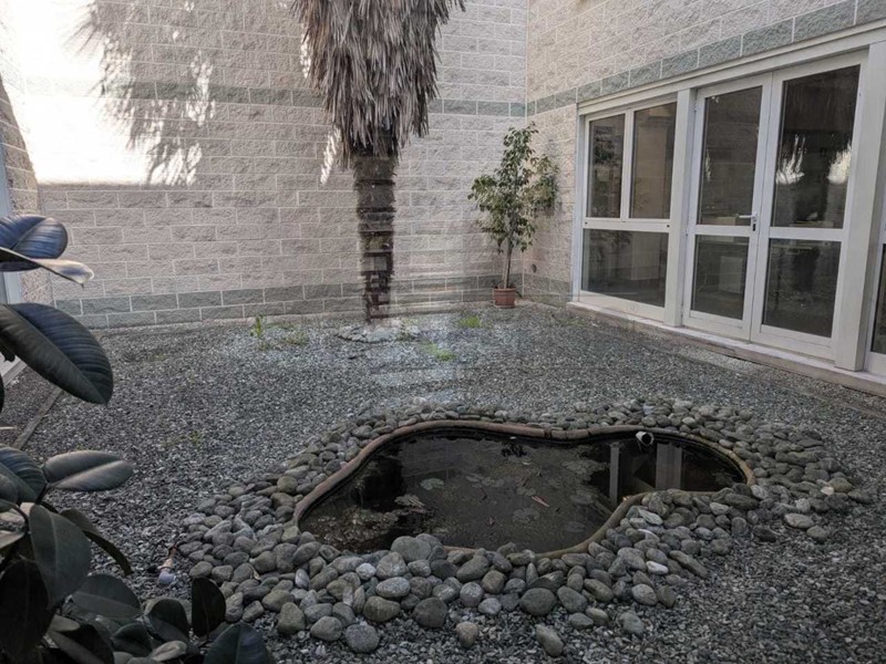 Ufficio in Affitto a Casier, zona Dosson, 4'500€, 850 m²