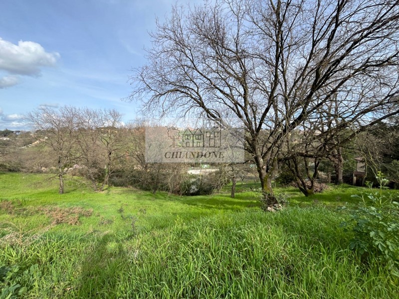 Terreno edificabile in Vendita a Morlupo, 27'000€, 1520 m²