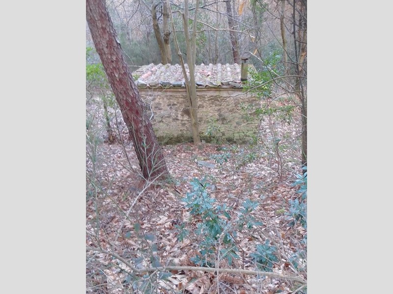 Terreno agricolo in Vendita a Capannori, 39'000€, 5600 m²