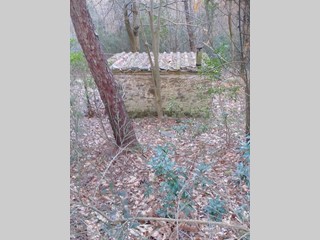 Terreno agricolo in Vendita a Capannori, 39'000€, 5600 m²