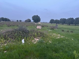 Terreno agricolo in Vendita a Pulsano, 12'000€, 13000 m²