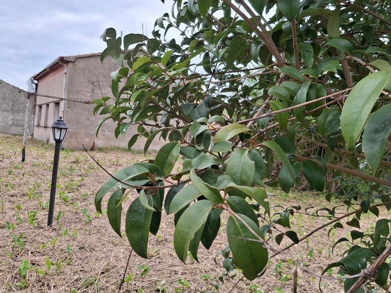 Box in Vendita a San Giuliano Terme, zona Molina di Quosa, 60'000€, 700 m²