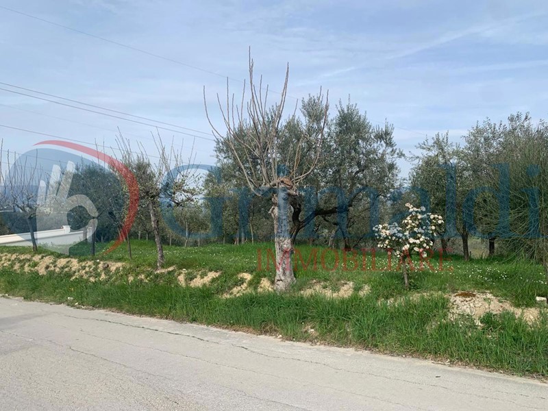 Terreno edificabile in Vendita a Montefalco, 77'000€, 1261 m²