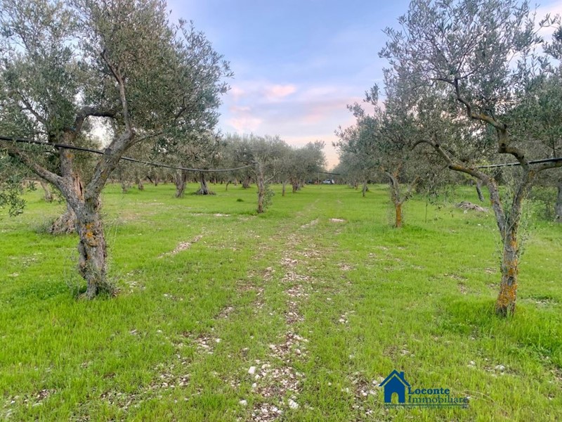 Terreno edificabile in Vendita a Cellamare, 25'000€, 10000 m²