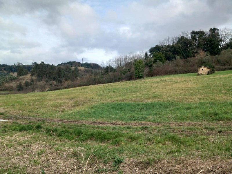 Terreno agricolo in Vendita a Casciana Terme Lari, zona Casciana Alta, 50'000€, 15970 m²