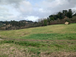 Terreno agricolo in Vendita a Casciana Terme Lari, zona Casciana Alta, 50'000€, 15970 m²