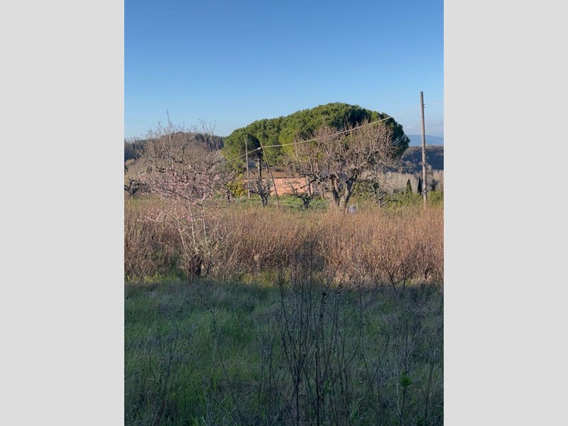 Terreno agricolo in Vendita a Casciana Terme Lari, zona Casciana Alta, 25'000€, 9470 m²