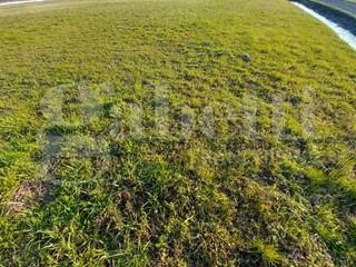 Casale in Vendita a Chioggia, 62'000€, 248 m²