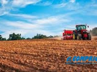 Terreno edificabile in Vendita a Montagnana, 36'500€, 7225 m²