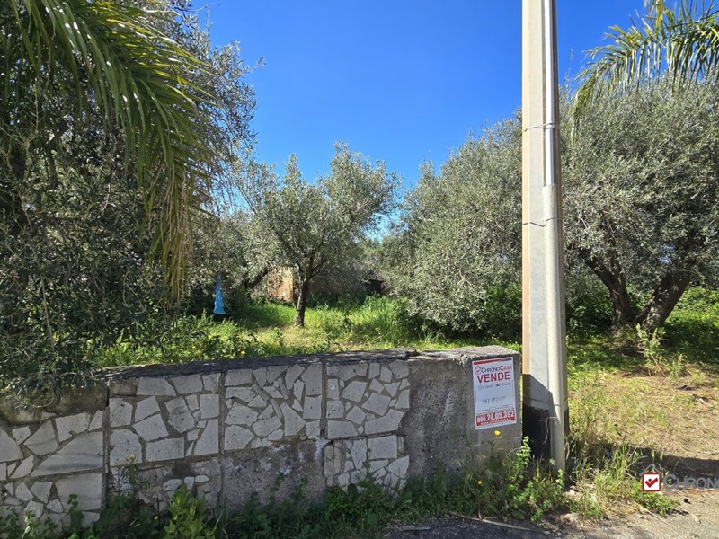 Terreno edificabile in Vendita a Pace del Mela, 55'000€, 4996 m²