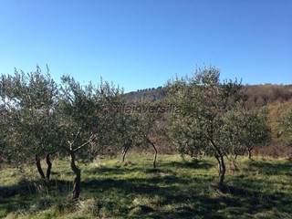 Terreno agricolo in Vendita a Reggello, 2'800'000€, 1000000 m²