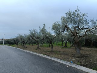 Terreno edificabile in Vendita a Vasto, 99'000€, 3600 m²