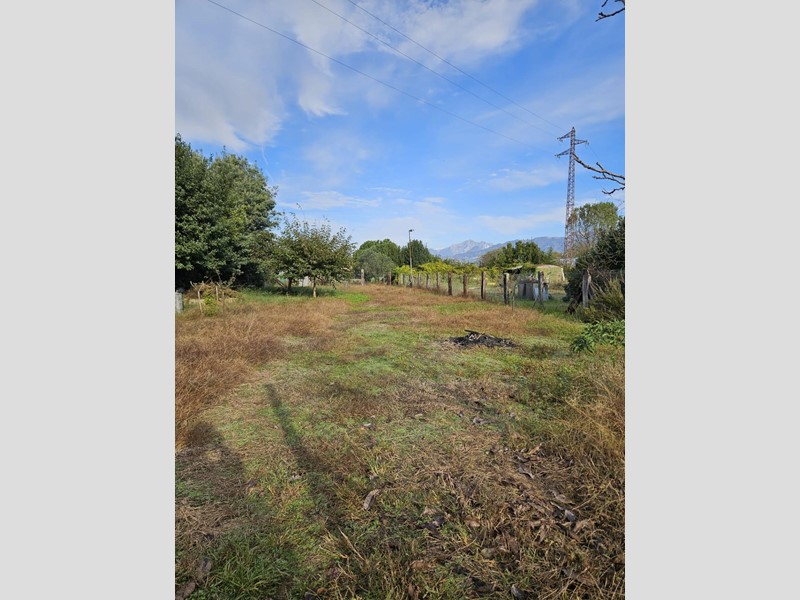 Terreno agricolo in Vendita a Viareggio, 120'000€, 4000 m²