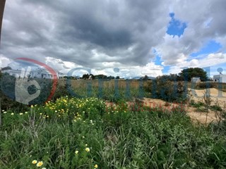 Terreno agricolo in Vendita a Ugento, 15'000€, 5060 m²