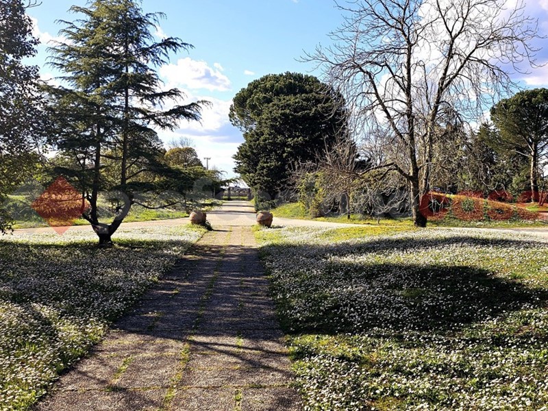 Appartamento in Vendita a Castelnuovo Berardenga, 239'000€, 123 m²