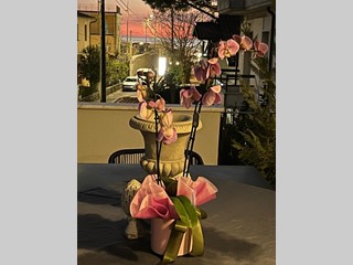 Villa bifamiliare in Vendita a Massa, zona Marina di Massa, 629'000&euro;, 157 m²