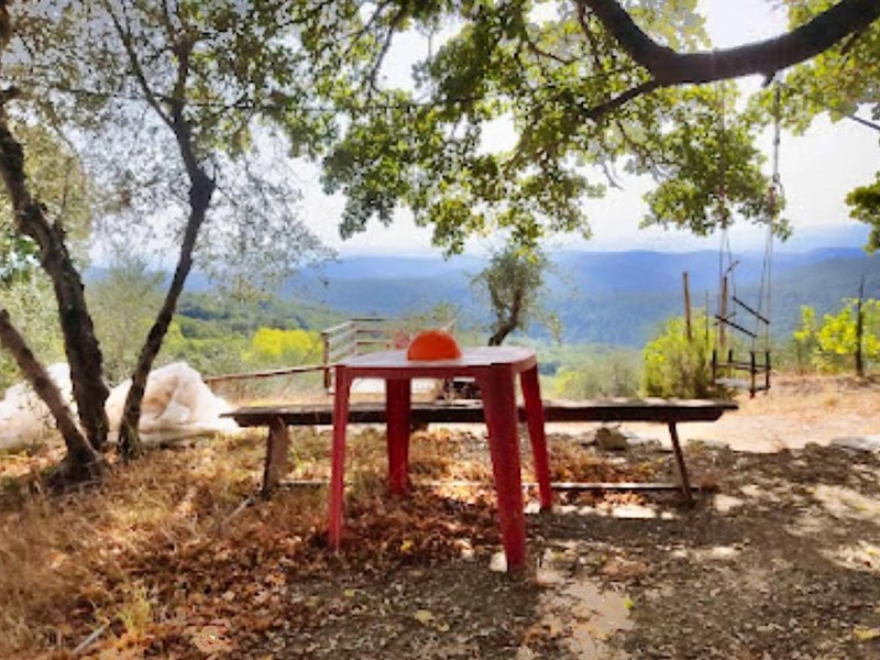 Terreno agricolo in Vendita a Murlo, 15'000€, 4720 m²