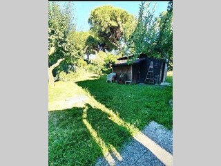 Casa Indipendente in Vendita a Carrara, zona Avenza, 295'000€, 190 m²