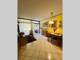 Monolocale in Vendita a Bibbona, zona Marina di Bibbona, 120'000€, 33 m², arredato