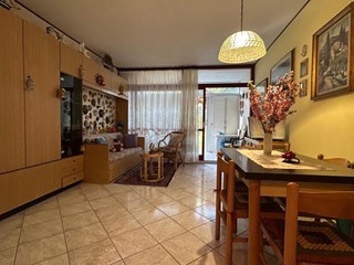 Bilocale in Vendita a Bibbona, zona Marina di Bibbona, 120'000€, 38 m²