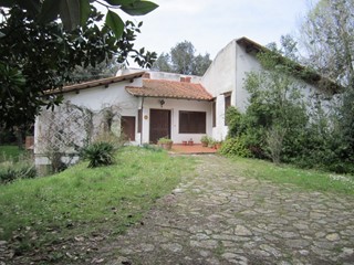Villa in Vendita a Pisa, zona La Vettola, 640'000€, 375 m², arredato, con Box