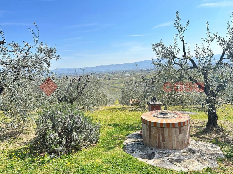 Terreno agricolo in Vendita a Arezzo, 65'000€, 8000 m²