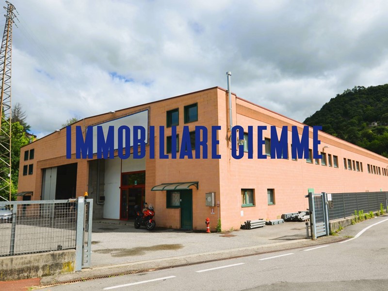 Capannone in Vendita a Caprino Bergamasco, zona Cava, 1800 m²