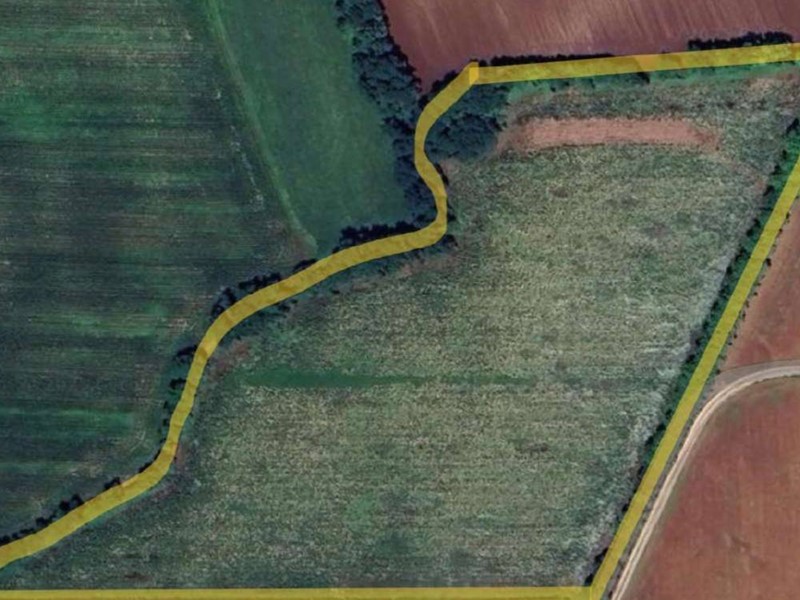 Terreno agricolo in Vendita a Aviano, zona San Martino di Campagna, 127'300€, 25460 m²