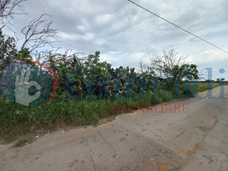 Terreno agricolo in Vendita a Taviano, 30'000€, 11000 m²