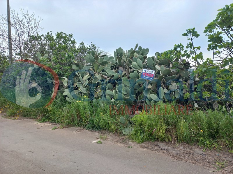 Terreno agricolo in Vendita a Taviano, 30'000&euro;, 11000 m²