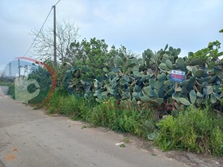Terreno agricolo in Vendita a Taviano, 30'000€, 11000 m²