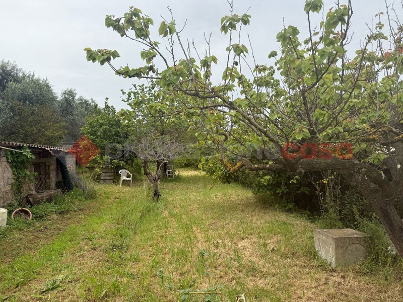 Terreno agricolo in Vendita a Roma, 55'000&euro;, 1600 m²