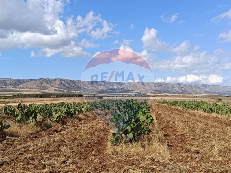 Terreno agricolo in Vendita a Manfredonia, 153'500€, 120780 m²